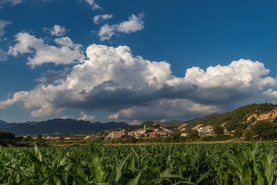 primavera4